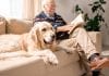Understanding Age Discrimination Laws in California and Beyond